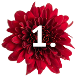 flowers steps 1 Quik's Farm Floral Shop - Freshest flowers in Chilliwack