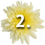 flowers steps 2 Quik's Farm Floral Shop - Freshest flowers in Chilliwack