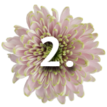 2 Quik's Farm Floral Shop - Freshest flowers in Chilliwack